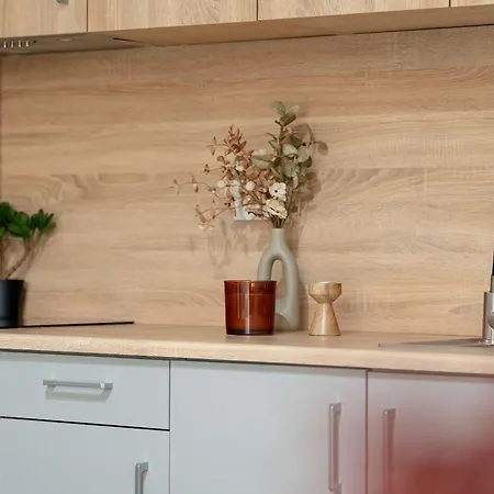 Comfortable For Two By Renters Apartment *