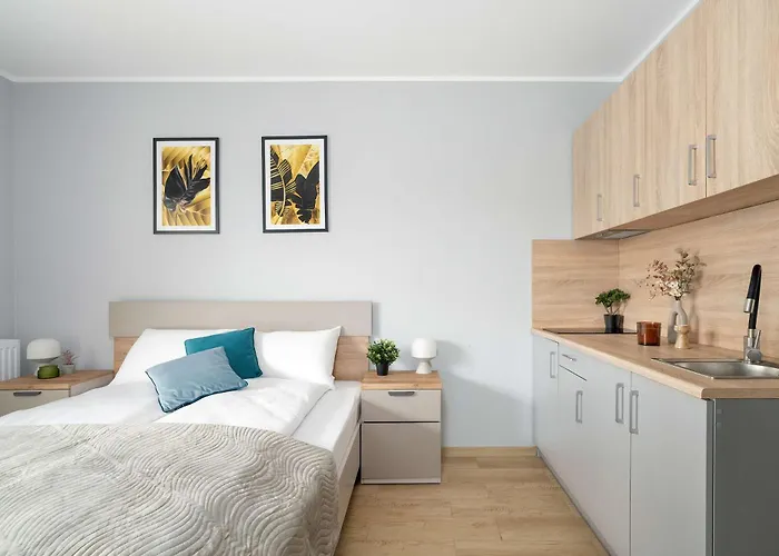 Comfortable For Two By Renters * 波兹南