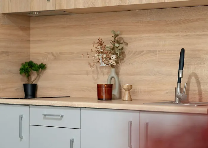 Comfortable For Two By Renters 公寓 *